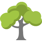 Winter Haven Tree Removal