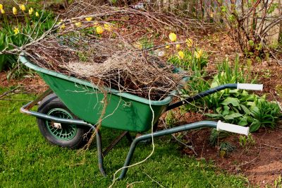 Yard Preparation