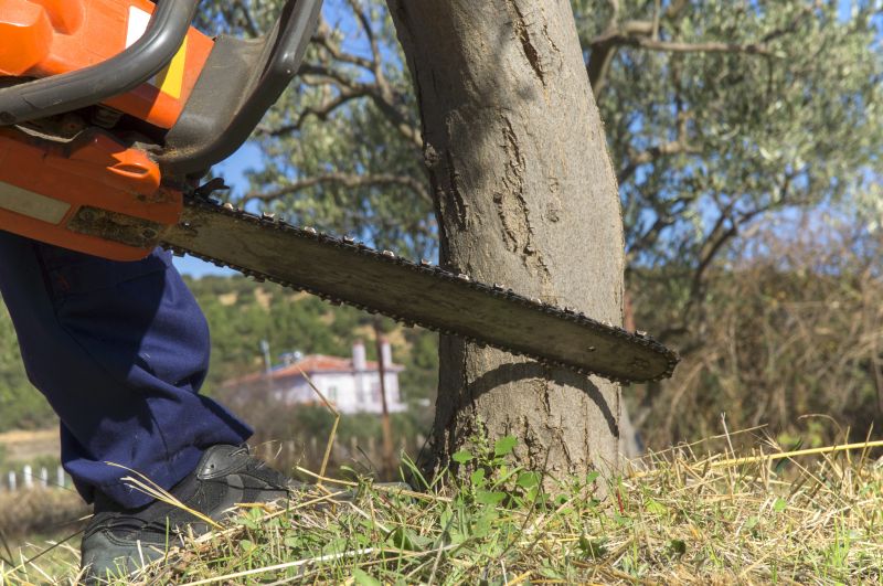 Tree Cutting Equipment