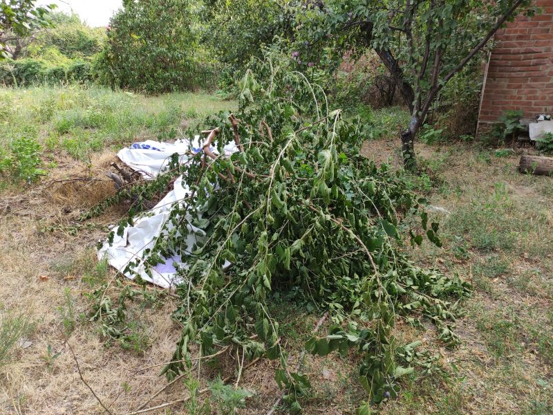 Debris Cleanup