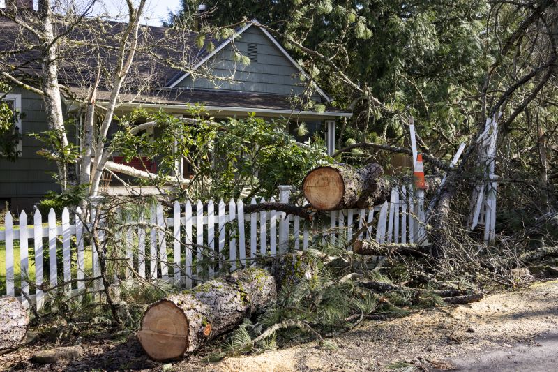 Storm Damage Scene
