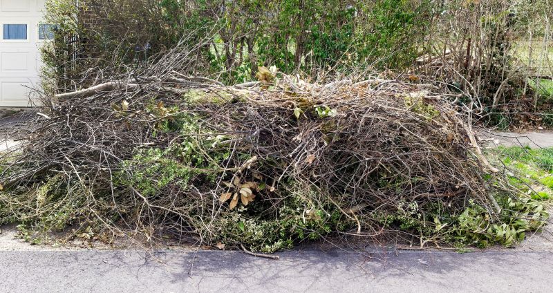 Post-Removal Cleanup
