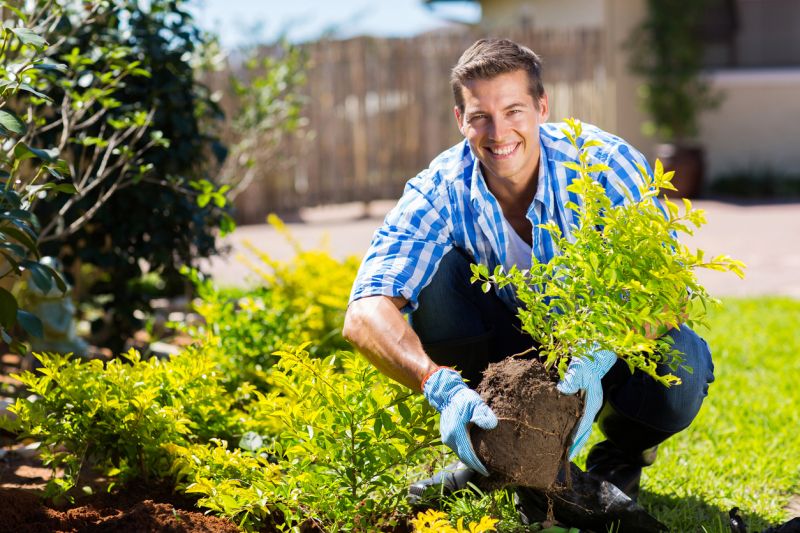 Healthy Landscape Restoration