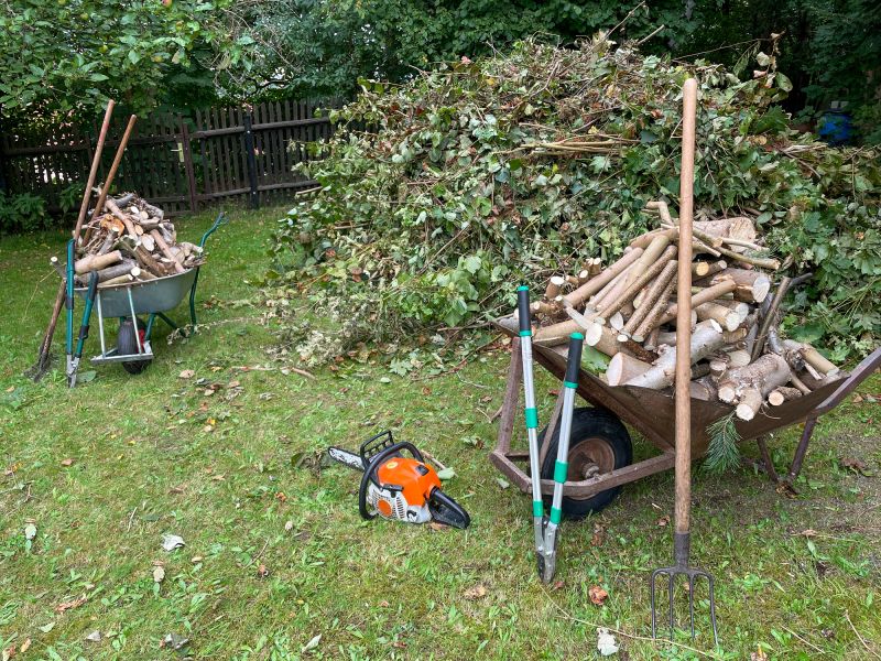 Tree Removal Companies